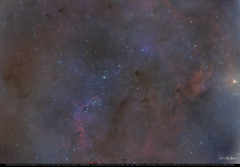 Elefantenrüsselnebel IC 1396 im Sternbild Kepheus – Emissionsnebel mit dunkler Gas- und Staubstruktur und aktiver Sternentstehung